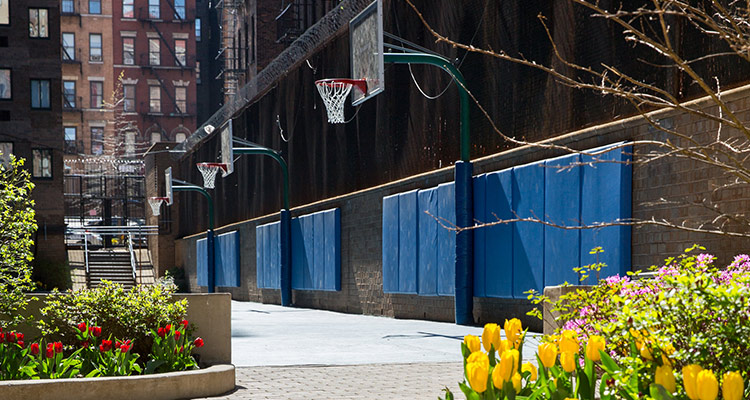 Basketball court with flowers planted on the sideline