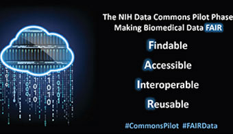 ISMMS and 11 other recipients of the award will form the nucleus of an NIH Data Commons Pilot Phase Consortium