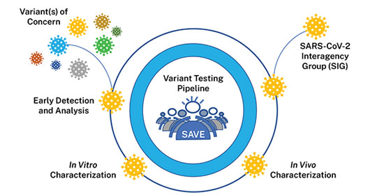 variant testing pipeline