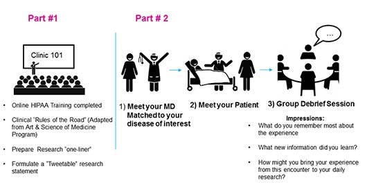 Clinical encounter graphic