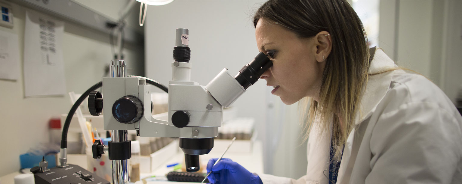 Sponsored Projects Accounting | Icahn School of Medicine