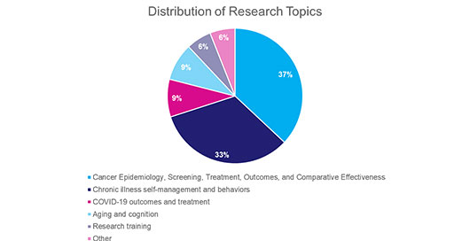 distribution of research topics pie chart
