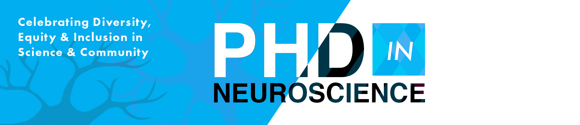 md phd programs in neuroscience