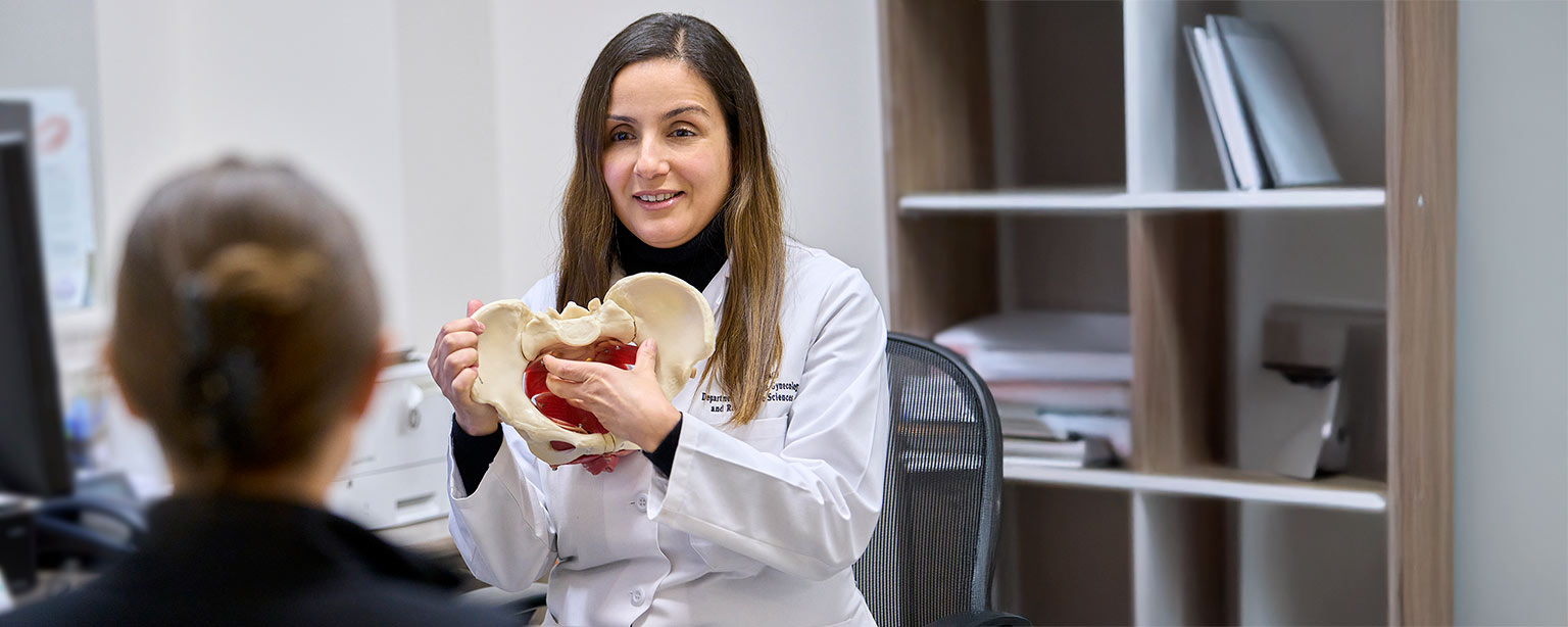 Department of OBGYN and Reproductive Science | Icahn School of Medicine