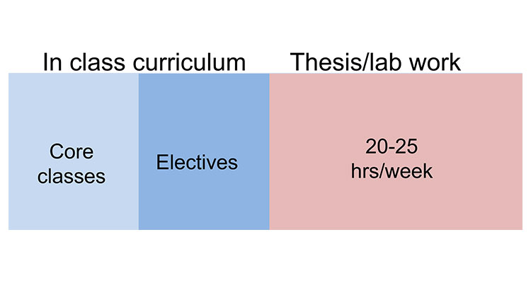 Curriculum and Thesis/Lab Work