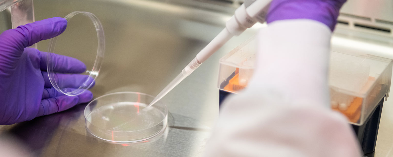 Phd In Health Sciences Engineering Icahn School Of Medicine