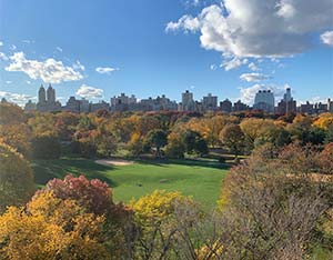 Aerial shot of Central Park