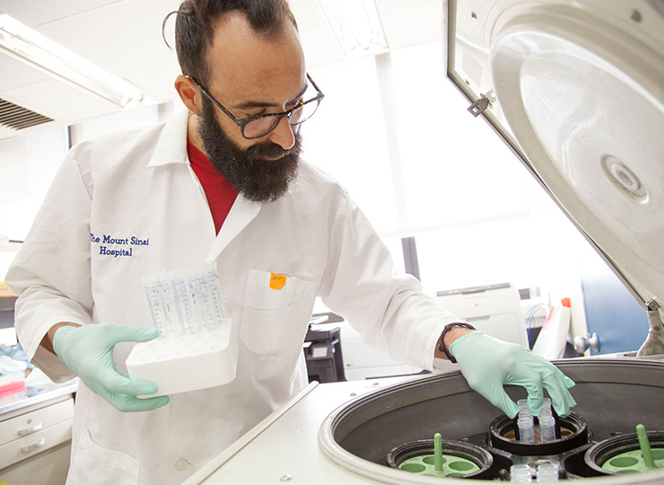 Researcher working in refrigerator case in lab