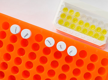 image of lab samples and pipettes