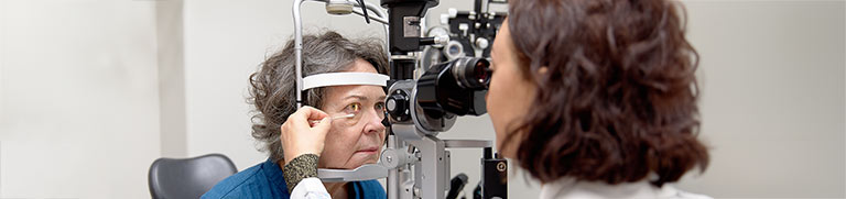 Vision Reseaerch Eye and Vision Research Institute Director's Message | Icahn School of ...
