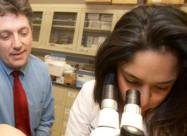 Image of researcher looking into microscope