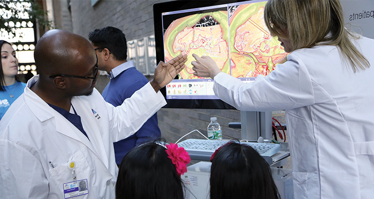 Image of doctors looking at brain scans