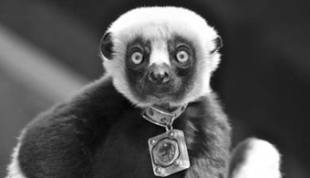 Light and Health Research