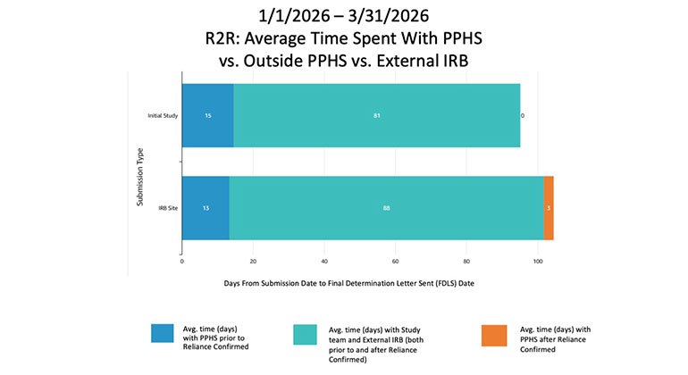 Dashboard Report image