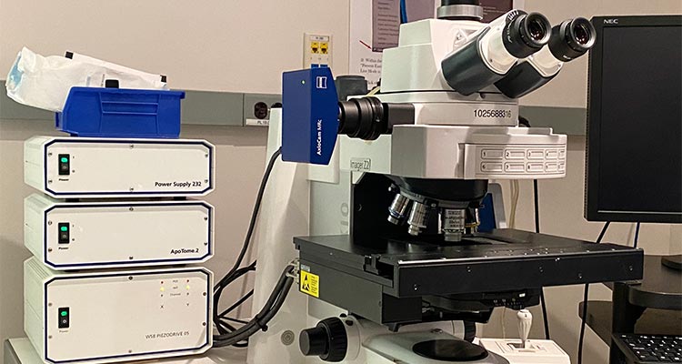 Zeiss AxioImager.Z2 for fixed- or live-cell samples