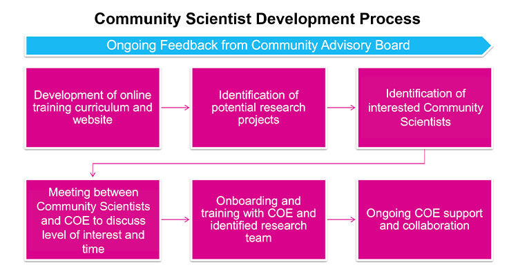 Development process graphic